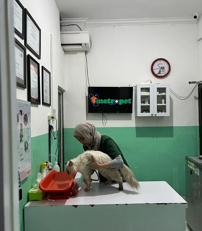 pdhb-metropet-praktek-dokter-hewan Dokter Hewan di Cibubur