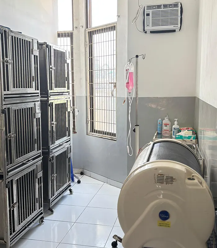 pdhb-metropet-ruang-rawat-inap-infeksius(1) Dokter Hewan di Cibubur