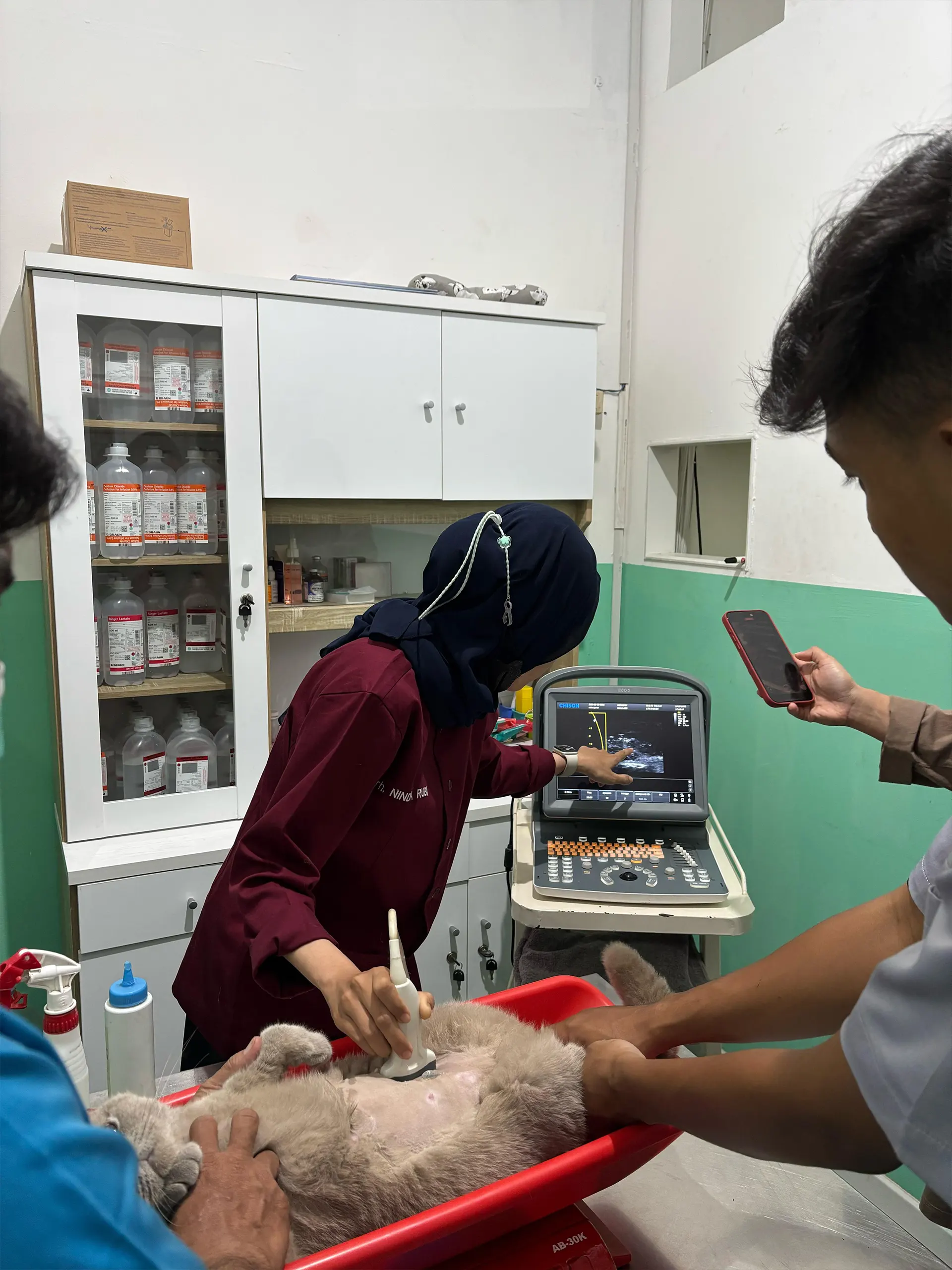 Dokter Hewan di Cibubur