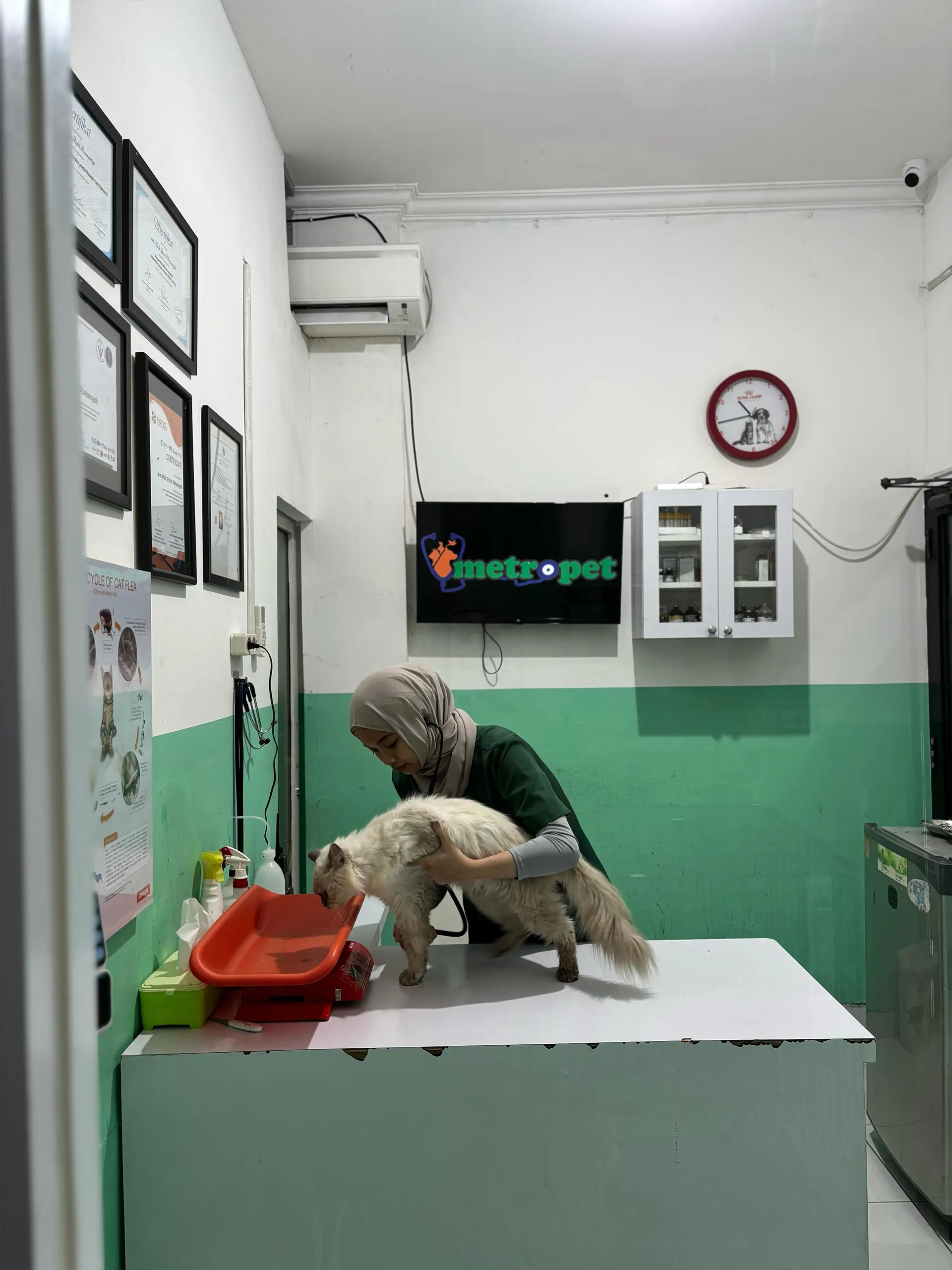 portofolio-revisi-pemeriksaan-laboratorium-hewan-4webp Dokter Hewan di Cibubur