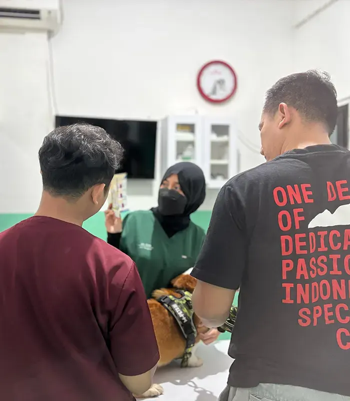 Konsultasi dan diagnosis awal, Dokter hewan di Cibubur